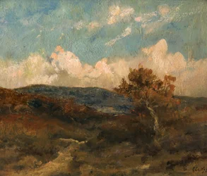 Táj, 1870-80 körül